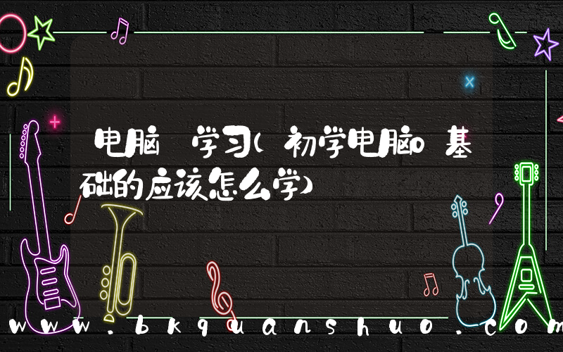 电脑 学习(初学电脑0基础的应该怎么学)
